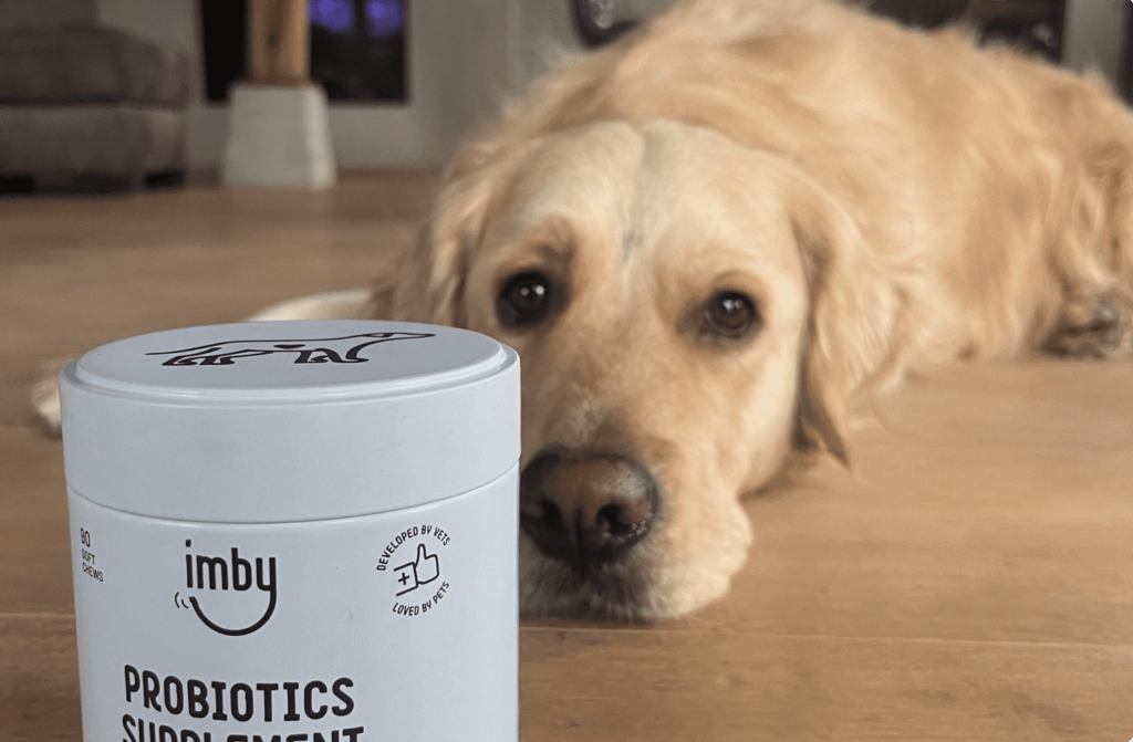 Probiotics supplement